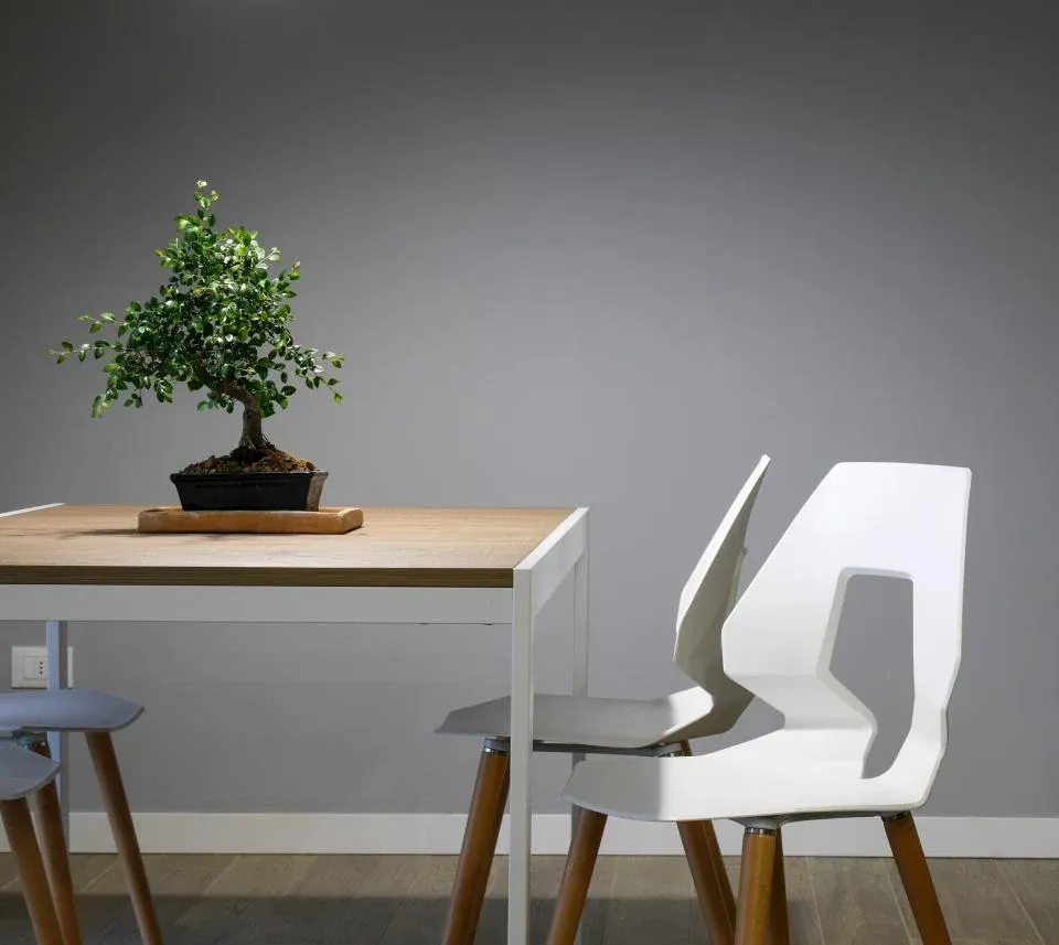 A white chair and a bonsai on a wooden desk against a grey wall